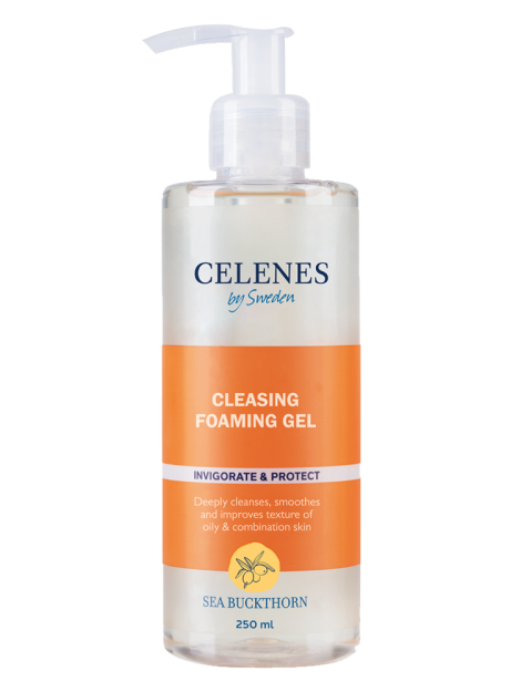 ENSBCelenes-Cleanıng